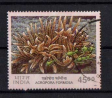 India - 2001 - Coral - Acropora Formosa - HV  -  Fine Used. - Usados