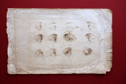 Incisione Francesco Bartolozzi G. B. Cipriani Studio Di Occhi Londra 1786 - Non Classificati