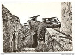 84 - BONNIEUX (Vaucluse) - Le Portail Des Chèvres - Ed. Cellard N° V.852 - Bonnieux