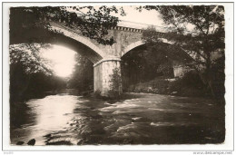 83 - VIDAUBAN (Var) - Pont De Florieye - Ed. A. TARDY - 1951 - Vidauban