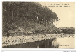 85 - LES SABLES-D'OLONNE - La Lisière De La Forêt De Pins Sur La Côte St-Jean L'Orbestier - Artaud-Nozais N° 6 - 1916 - Sables D'Olonne