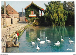 21 - MIREBEAU Sur BÈZE- Les Cygnes Du Chalet - Ed. Cim Combier - Mirebeau