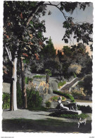 30 - NIMES - Jardin De La Fontaine - Ed. YVON N° IBC 1237 Colorisée - Nîmes