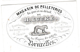 Belgique, Carte Porcelaine, Magasin De Pelleteries, H. Lucké , Bruxelles, Dim:100x62mm, - Porcelana