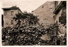 Maison Buttin-De Loes, Grandvaux  - Grandvaux