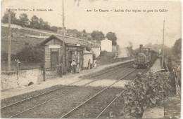 44 - Arrivée D'un Express En Gare Du Cellier - Le Cellier