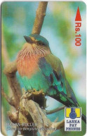 Sri Lanka - Lanka Pay Phones (GPT) - Indian Roller - 35SRLB - 100Rs, Used - Sri Lanka (Ceilán)