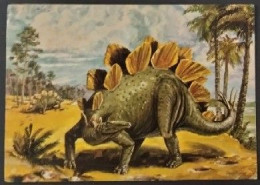 WORLDWIDE  OLD USED POSTCARD. STEGOSAURUS AN ARMOUR-PLANT-EATING DINOSAUR ABOUT 6M(20FT) - World