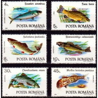 ROMANIA 1278, 1992, * FISH, POISSONS - Used Stamps