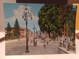 Cartolina Avellino , Corso Vittorio Emanuele, Giardini Pubblici Anni 60 - Avellino