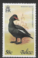 Belize 1978 MiNr. 388 Birds II  Vögel  Muscovy Duck  1v  MNH ** 2.50 € - Patos