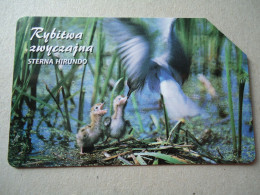 POLAND  USED CARDS  BIRDS BIRD - Other & Unclassified