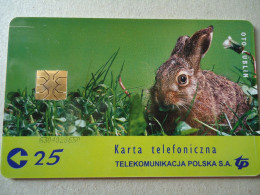 POLAND  USED CARDS  HARE  ANIMALS - Conejos