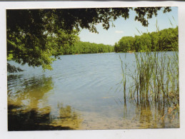 1000 BERLIN - GRUNEWALD, Krumme Lanke - Grunewald