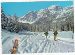 Im Stubaital - Am Weg Zur Schlicker Alm 1616 M Mit Kalkkögel, Tirol - (Österreich/Austria) - 1973 - Ski - Telfs