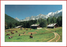 Sans Légende - Paysage Des Alpes - Vaches - Rhône-Alpes