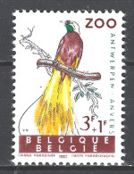 Belgie Begique Belgium MNH ; Paradijsvogel Bird Of Paradise Oiseau De Paradis Ave Del Paraiso Vogel Bird Ave Oiseau - Perroquets & Tropicaux