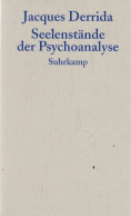 Seelenstände Der Psychoanalyse: Das Unmögliche Jenseits Einer Souveränen Grausamkeit (Graue Reihe) - Psychologie