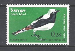 Israel MNH  Rouwtapuit Mourning Wheatear Vogel Bird Ave Oiseau - Sparrows