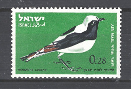 Israel MNH  Rouwtapuit Mourning Wheatear Vogel Bird Ave Oiseau - Spatzen