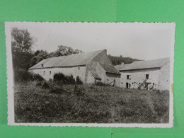 Delcampe - (Surice) Ferme Du Wez De Chine - Philippeville