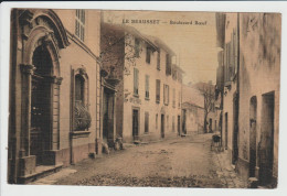 LE BEAUSSET - VAR - BOULEVARD BOEUF - Le Beausset