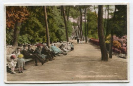 AK 137242 ENGLAND - Bournemouth - The Pine Walk - Bournemouth (fino Al 1972)