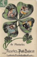 56-PLUMELEC- RECEVEZ CE PORTE BONHEUR DE PLUMELEC - Autres & Non Classés