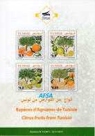 FLYER 2017- Citrus Fruits From Tunisia In 3 Languages (Arabic -French -English) 3 Scans - Agriculture