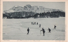 DAUPHINE - Les Arcelles Et Le Taillefer - Les Skieurs - Fouenouliat - Rhône-Alpes