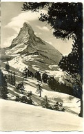 Postal Suiza. Zermatt. 7-3ay440 - Matt