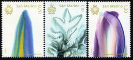 San Marino - 2021 - Bicentenary Of Homeopathy In Italy - Mint Stamp Set - Ungebraucht