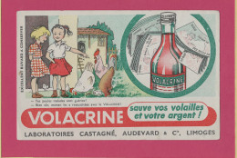 BUVARD & Blotting Paper :  VOLACRINE Poule Coq Laboratoire CASTAGNE - Dieren