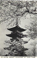 Delcampe - Japan ** & Postal, Tokyo, Cherry Blossoms At Ueno Park (7782343) - Tokyo