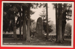 ZVD-13  Sempach Bezirk Sursee Schlachtfeld Denkmal.  Foto Blickenstorfer Ohne Nr NG - Sempach