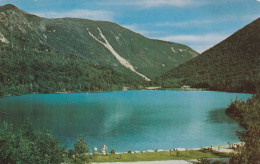 Moose Falls, White Mountains, New Hampshire - White Mountains