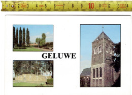 66620 - GELUWE GEMEENTEPARK- MONUMENT 3e LANCIERS - ST DIONUSIL - Wervik