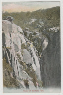 Australia VICTORIA Head Of Buffalo Falls MOUNT BUFFALO VIC Railways Tourist Series Official Postcard C1908 - Otros & Sin Clasificación