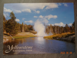 YELLOWSTONE NATIONAL PARK - Yellowstone