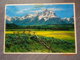 VIEW OF THE GRAND TETON - Yellowstone