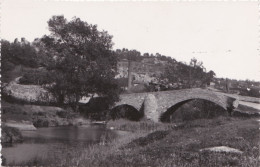 VAR 83 SALERNES LE PONT DU GOURGARET - Salernes