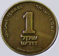 Israel - 1987 - KM 160 - 1 New Sheqel - VF - Look Scans - Israel