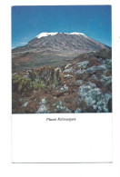 Africa  Postcard Mount Kilimanjaro Unused - Kenya