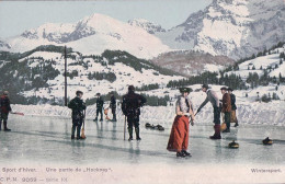 Sport D'hiver, Une Partie De Hockney "Curling" (9059) - Sports D'hiver