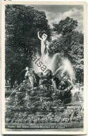 Baden Bei Wien - Undine-Brunnen Im Kurpark - Foto-Ansichtskarte - Verlag P. Ledermann Wien - Baden Bei Wien