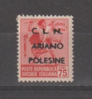 R.S.I. - C.L.N.:  1944  ARIANO  POLESINE  -  75 C. TAMBURINO  ROSA  CARMINIO  N. - - Emissioni Locali/autonome