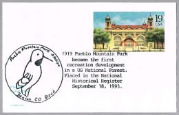 ACORN WOODPECKER - Pueblo Mountain Park. Beulah CO 1993 - Piciformes (pájaros Carpinteros)
