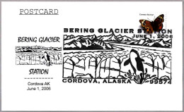 GLACIAR BERING - BERING GLACIER. Cordova AK 2006 - Autres & Non Classés