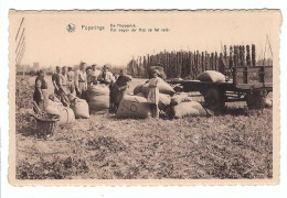 Delcampe - Poperinge  De Hoppepluk  Het Wegen Der Hop Op Het Veld - Poperinge