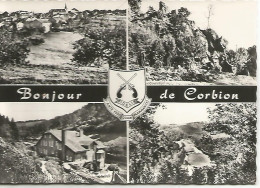 Corbion - Bouillon